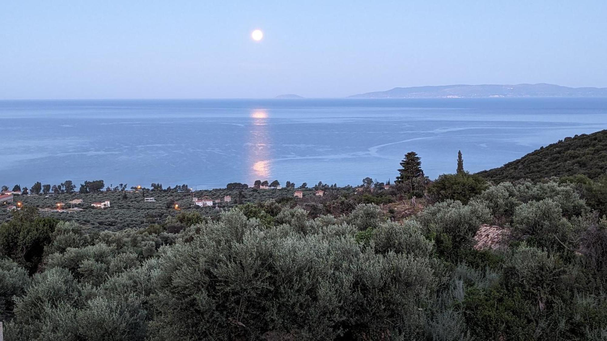 Magnificent, Authentic Private Villa And The Guest House Kardhamili Exteriör bild
